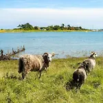 Vakantiehuis 20206-samso-haardmark-mark-7