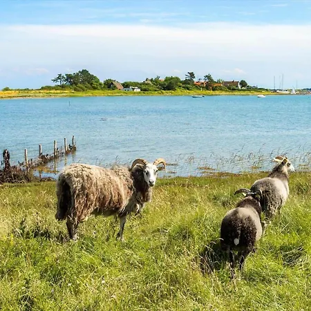 20206-samso-haardmark-mark-7 Kolby Kås